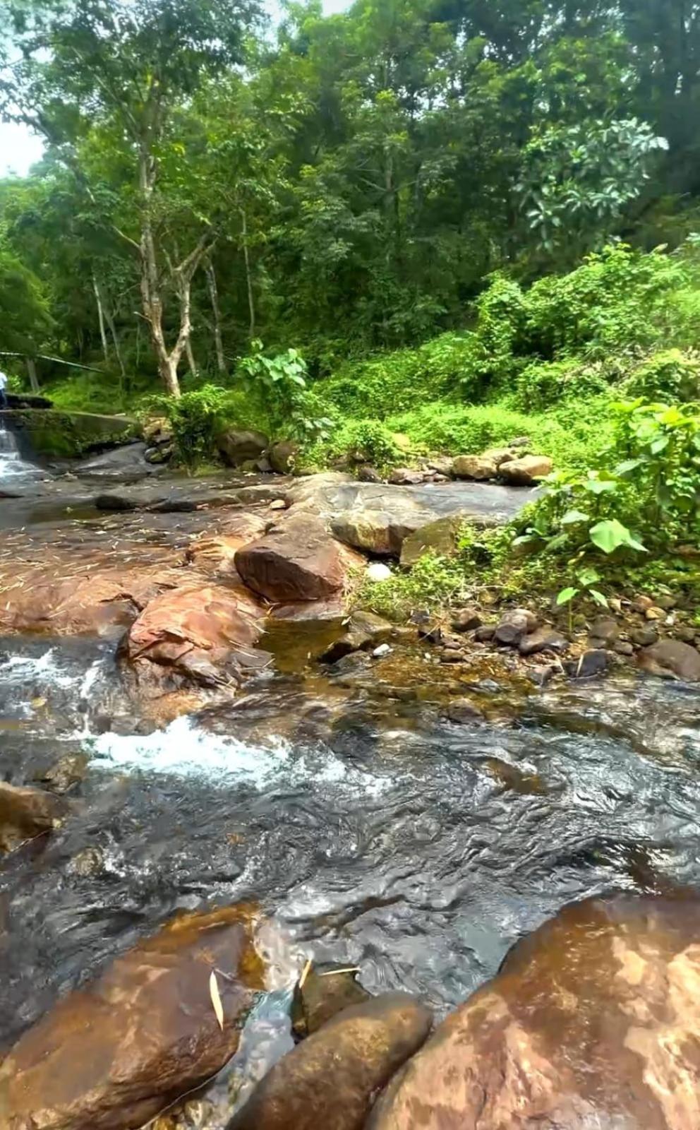 Nest Resorts Athirappilly Exterior photo